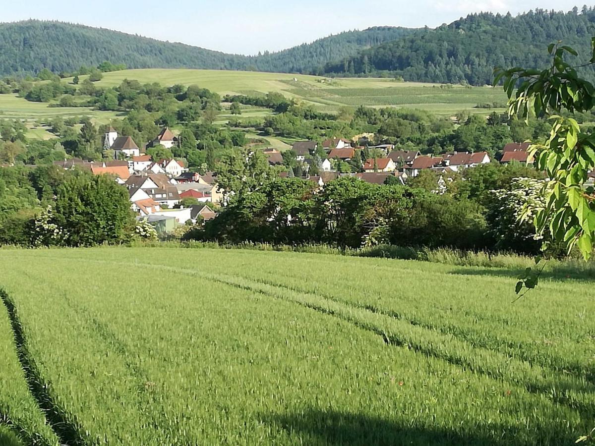 Galerie Ueber Den Gaerten Herbolzheim Dış mekan fotoğraf