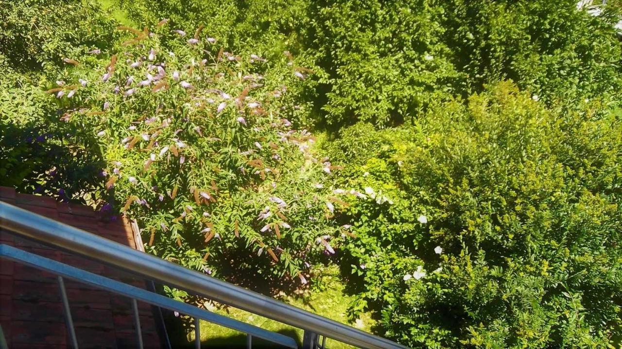 Galerie Ueber Den Gaerten Herbolzheim Dış mekan fotoğraf