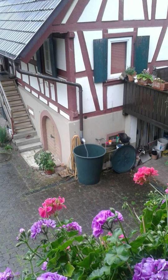 Galerie Ueber Den Gaerten Herbolzheim Dış mekan fotoğraf